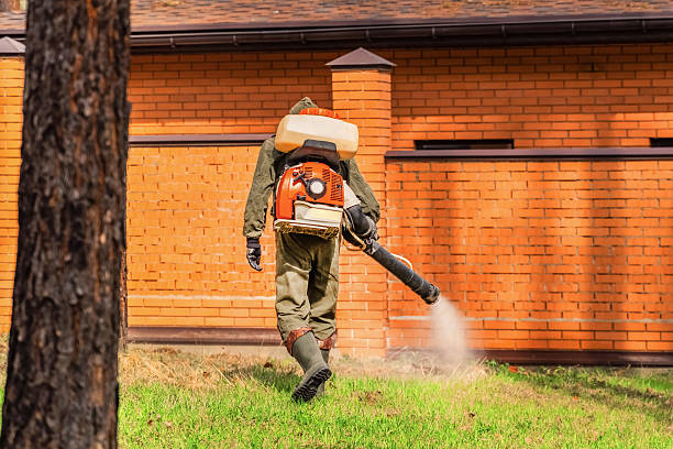 Trusted Ant Control service in Gloucester Courthouse, VA - Nex Pest Control